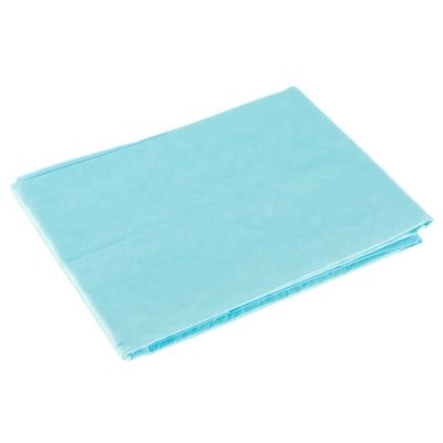 Adult Waterproof Non Woven Underpad Pet Disposable Training Urine
